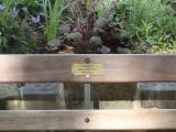 image of grave number 826382
